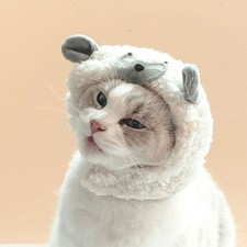  Accessoire Pour Chat