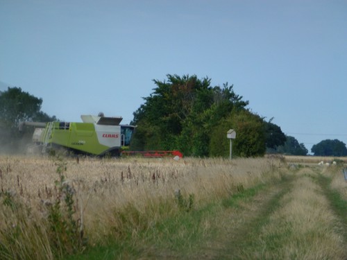 Photo 6x4 harvesting near - 6x4,