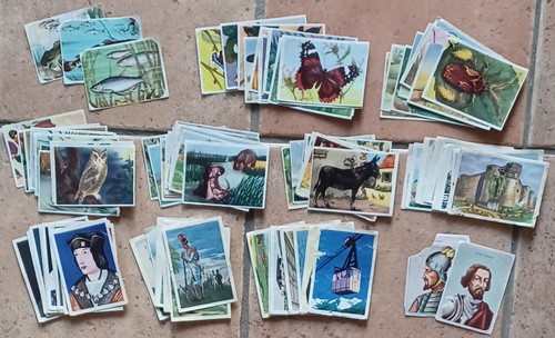 Lot 107 images vignettes - lot,