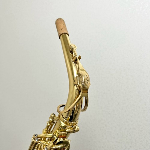 Yanagisawa adjustment 901 - yanagisawa, in
