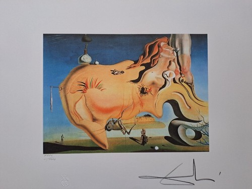 Lithographie signée salvador - signée,