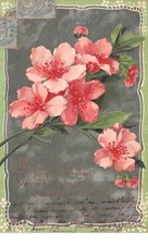 Fantaisie - n°61984 - Nature Divine  ton fécond réveil donne à l'églantin