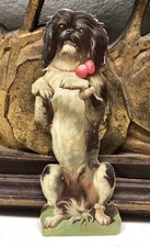 Dog in Standing Position