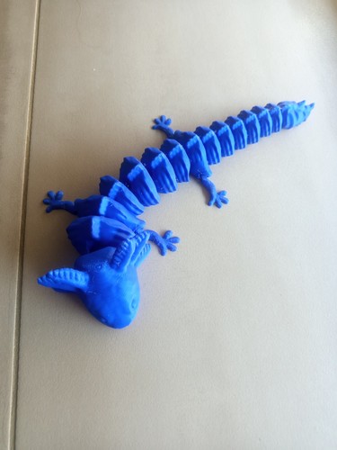 Axolotl articulé - articulé, 3d