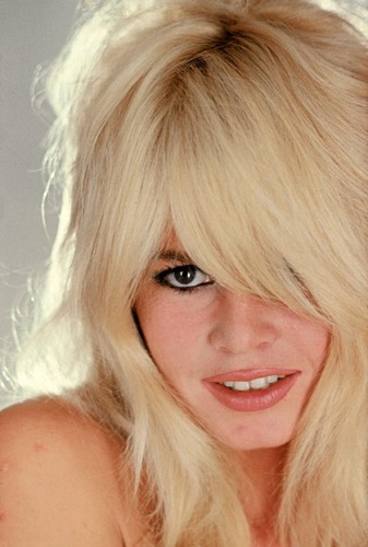 Affiche portrait brigitte - affiche,
