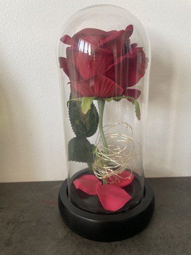 Rose éternelle - rose,