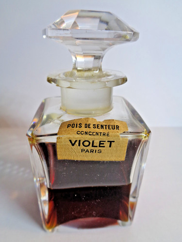 Pois senteur violet - de,