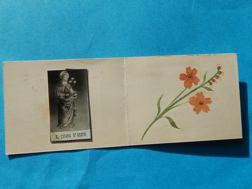 Image pieuse fleurs - ,