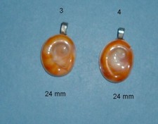 Oeil de Sainte Lucie opercule porte bonheur   24 mm  N°4