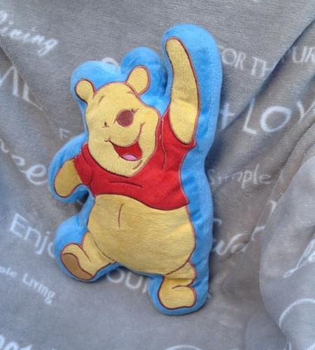Peluche coussin ourson - coussin, l'ourson