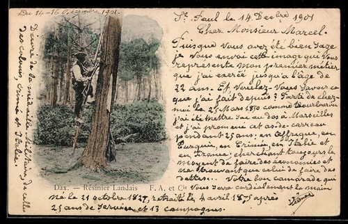 Landes résinier - un,