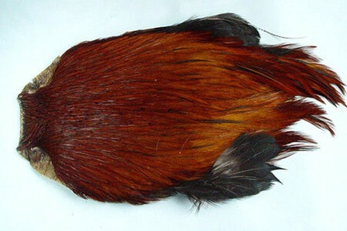Cou coq indien brun roux - de,