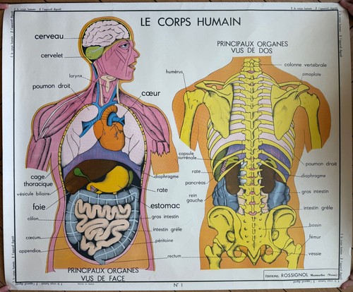 Affiche scolaire ancienne