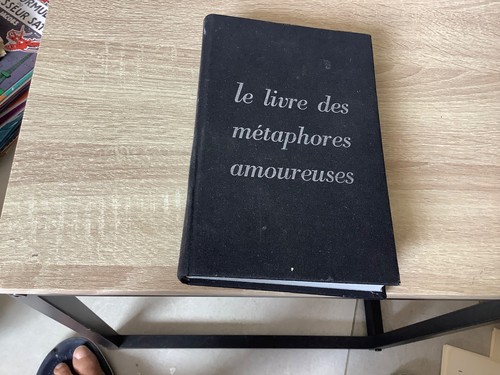 Livre des métaphores - le,