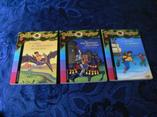 Livres cabane magique - 3,