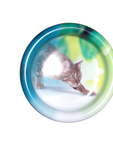 Gamelle pour chat - 1,