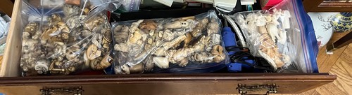 Large collection japanese - large,