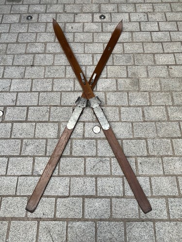 ANCIEN-SKI