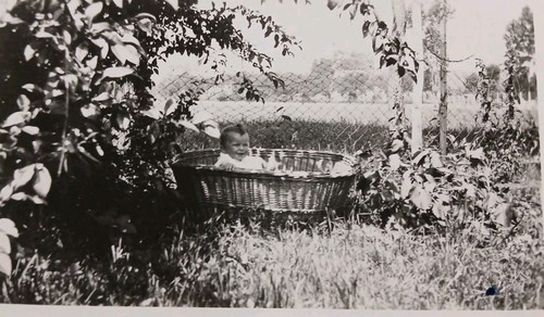 Bébé dans couffin en - dans, un