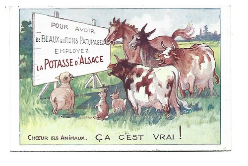 Illustration choeur des - choeur,