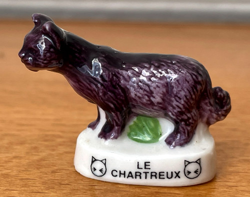 Magnifique fève chat - fève,