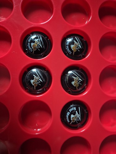 Lot capsules champagne an - de,