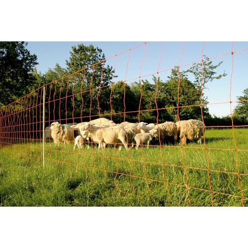 Euronetz plus 106 - -, réseau