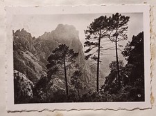 AZ656 photo circa septembre 1949 paysage corse montagne