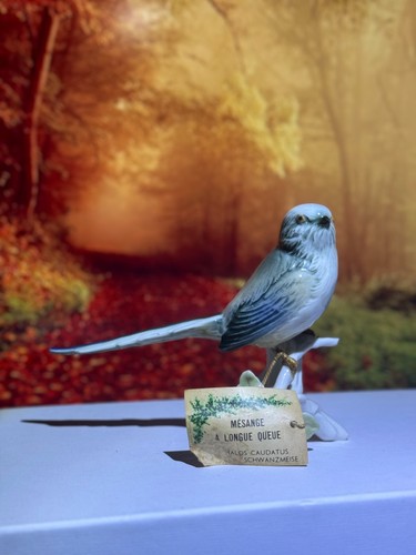 Mésange biscuit porcelaine - biscuit,,