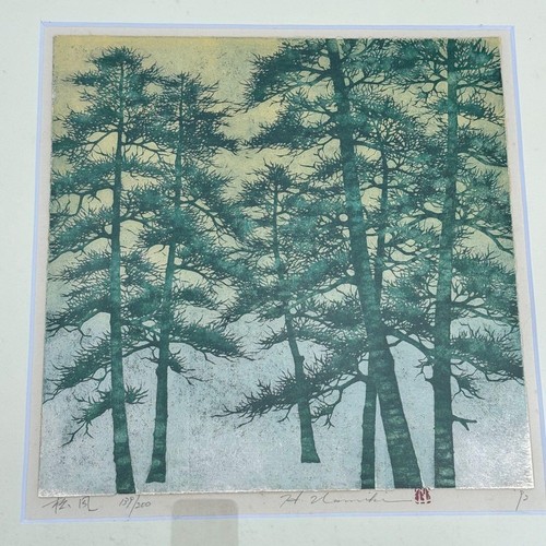 Hajime namiki matsukaze pine - namiki,