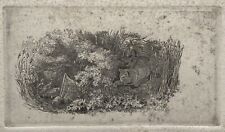 Gravure Otto Speckter (1807-1871) Chat En Chasse Piège À Oiseaux