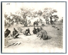 Tchad, Scène après une chasse de lions. Séchage de la peau  Vintage silver print