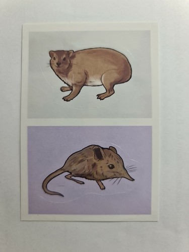 Image sticker autocollant