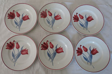 6 ASSIETTES PLATES FAIENCE MOULIN DES LOUPS ST AMAND HAMAGE MODELE SIMONE LOT 1.