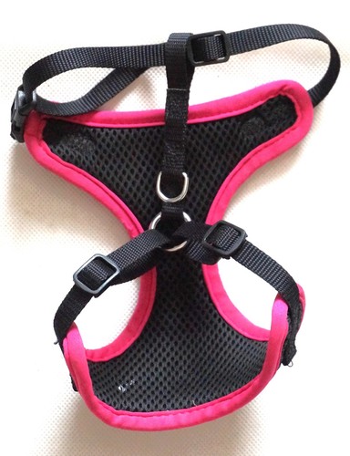 Harnais taille petit chiens - taille,