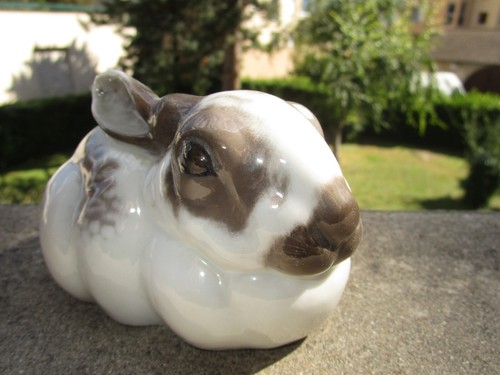 Ancien très beau - lapin, en