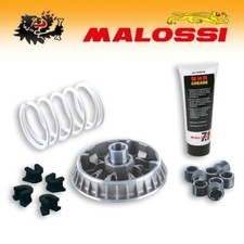 5114260 [MALOSSI] Variateur