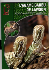 L' AGAME BARBU DE LAWSON POGONA HENRYLAWSONI .DRAGON Martin Dieckmann LIVRE NEUF