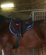 Selle TATTINI 17,5" cuir