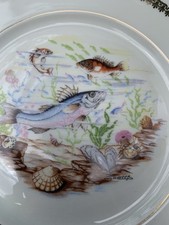 Assiettes En  Porcelaine De