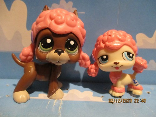 Petshop duo chien - petshop,