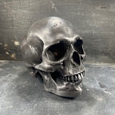 Crâne humain en acier massif