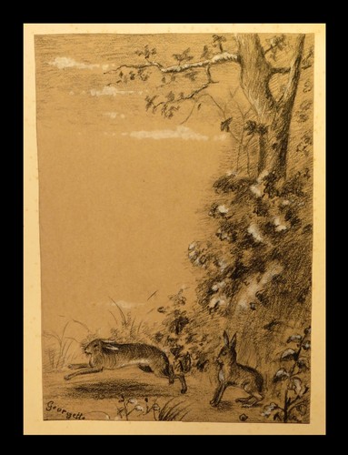 Cynegetique chasse dessin à - chasse],