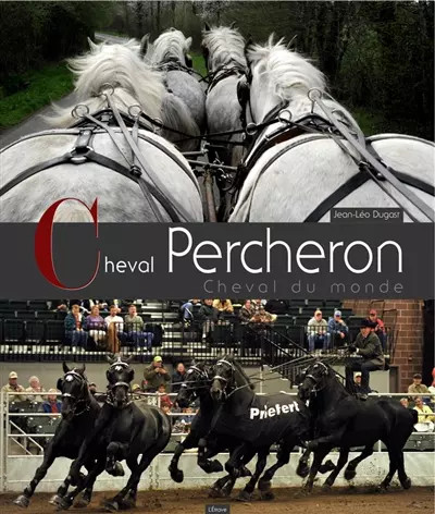 Cheval percheron - cheval,