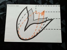 ancien croquis de sciences:la pomme n5/l'orange n6.edition rossignol.36cms/52cms