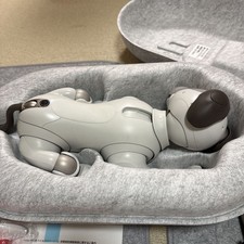 Sony aibo ERS-1000