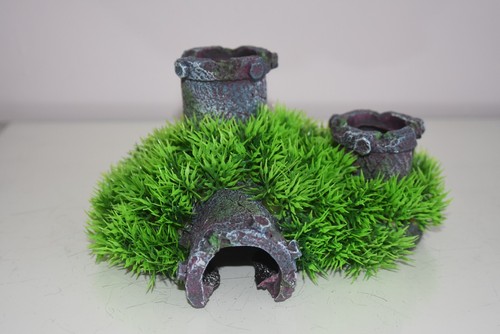 Aquarium tube paysage - paysage, herbe