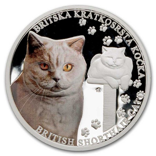 2024 niue silver proof - 1,