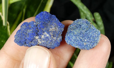 Lot 2 Azurite Chessylite intense Chessy les Mines 2.5cm France collection reiki