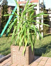 Moule Clôture Pilier &